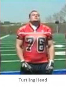 oline-turtle